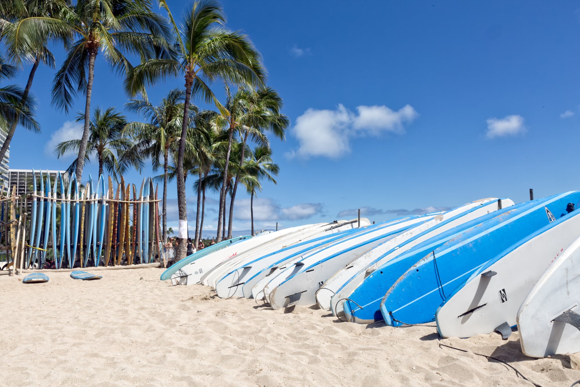 HI_blue and white surfboards