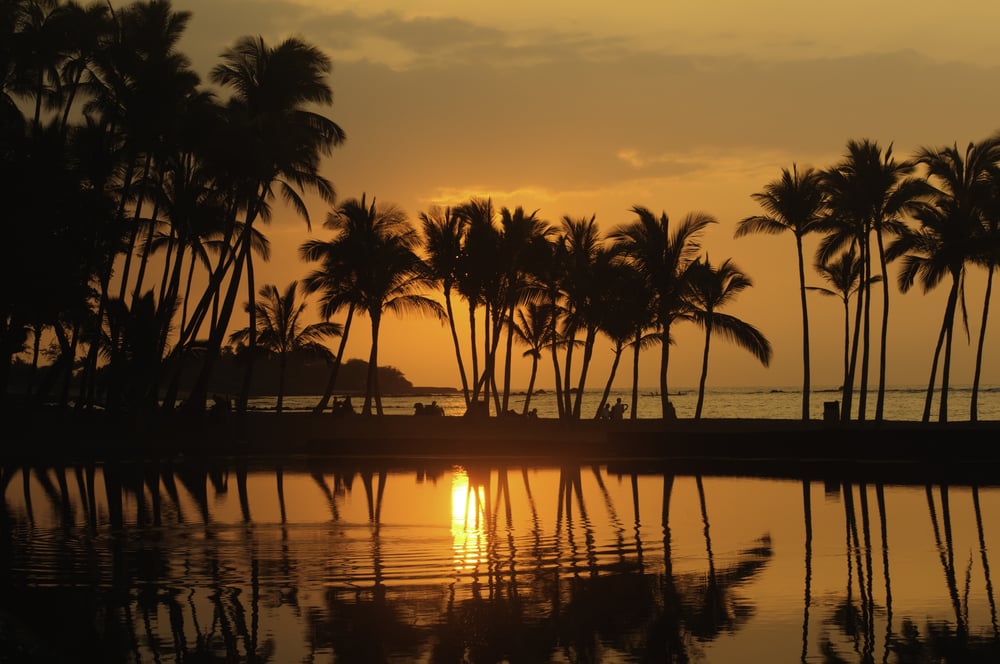 Hawaiian scenic silhouettes of beachergoers and palm trees minutes before sunset at Anaehoomalu Bay on the Kona Coast of the Big Island